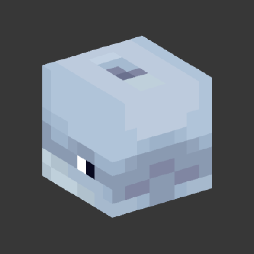 Dolphin Pet