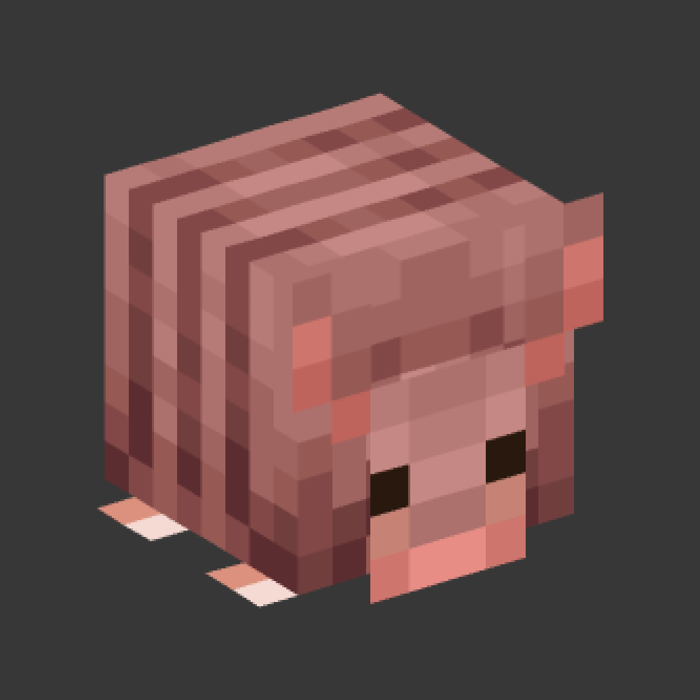 Armadillo Pet